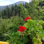Stoletnika 3* Yagodina