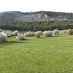 Guest house Stoletnika