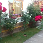 Guest house Stoletnika 3*