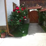 Guest house Stoletnika 3*