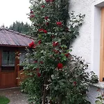 Guest house Stoletnika Yagodina