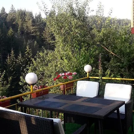 Guest house Stoletnika 3*