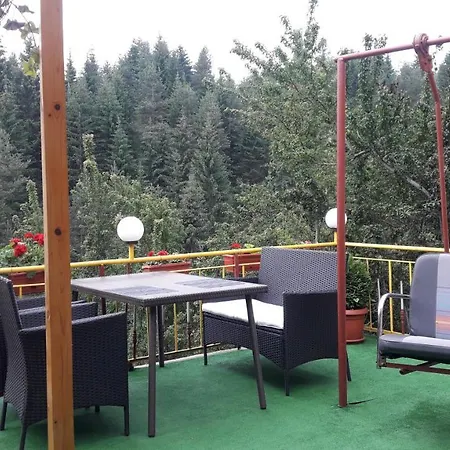 Guest house Stoletnika 3*