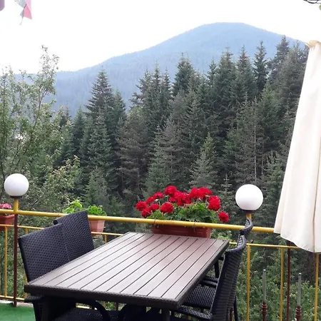 Stoletnika Guest house Yagodina