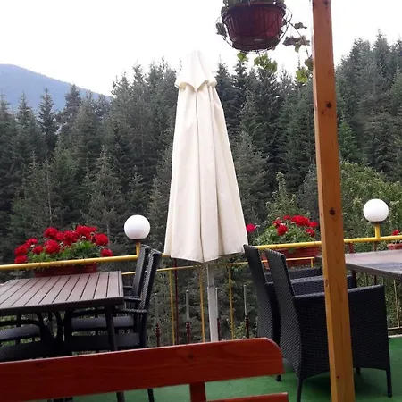 Stoletnika 3* Yagodina