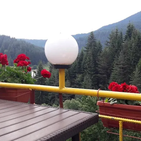 Guest house Stoletnika 3*