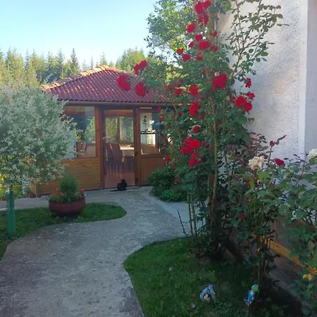 Stoletnika Yagodina
