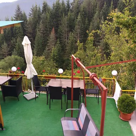 Stoletnika Guest house
