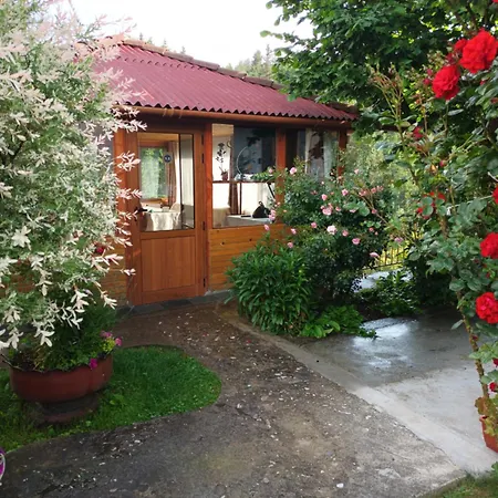 Guest house Stoletnika