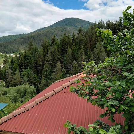 Stoletnika