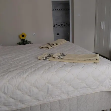 Stoletnika 3* Yagodina