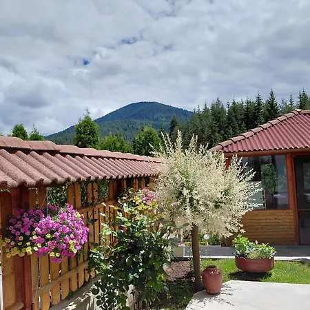Stoletnika 3* Yagodina