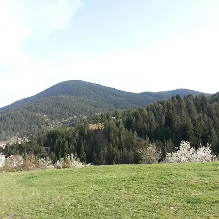Stoletnika