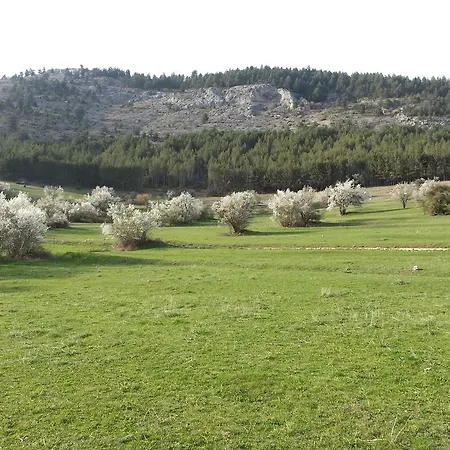 Guest house Stoletnika