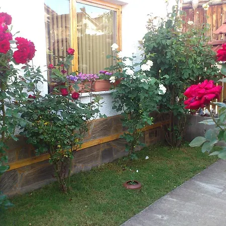 Guest house Stoletnika 3*