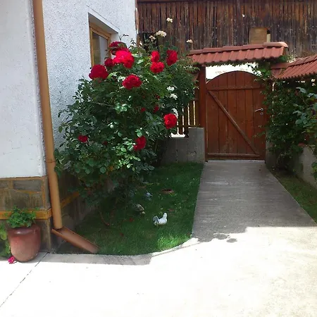 Guest house Stoletnika 3*