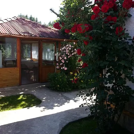 Stoletnika Yagodina