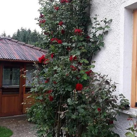 Guest house Stoletnika Yagodina