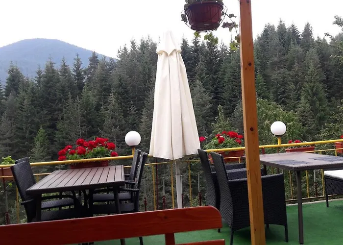 Stoletnika 3* Yagodina