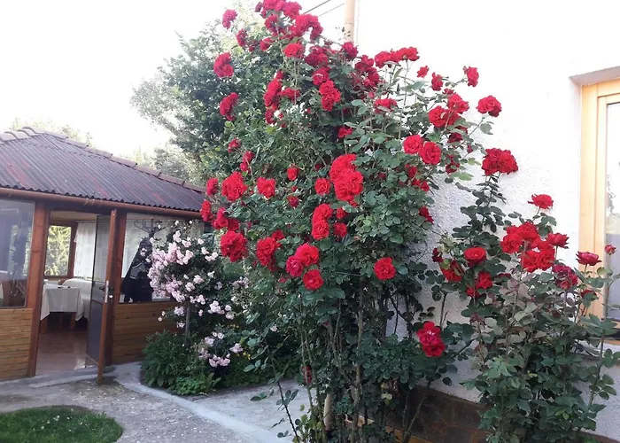 Stoletnika 3* Yagodina