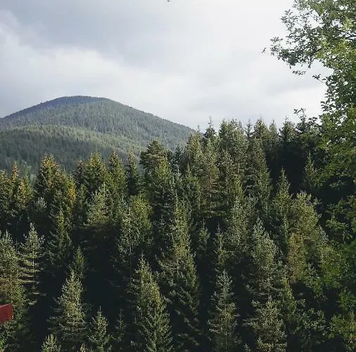 Gasthof Stoletnika Yagodina