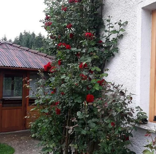 Gasthof Stoletnika Yagodina